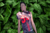 shornollata