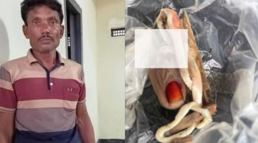 চৌগাছায় ধর্ষণে ব্যর্থ হয়ে গৃহবধূর আঙুল কামড়ে ছিঁড়ে ফেললো ট্যানা
